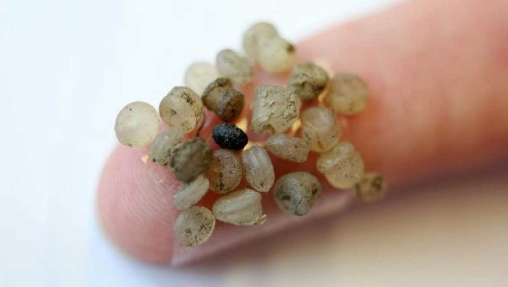microplastics-food