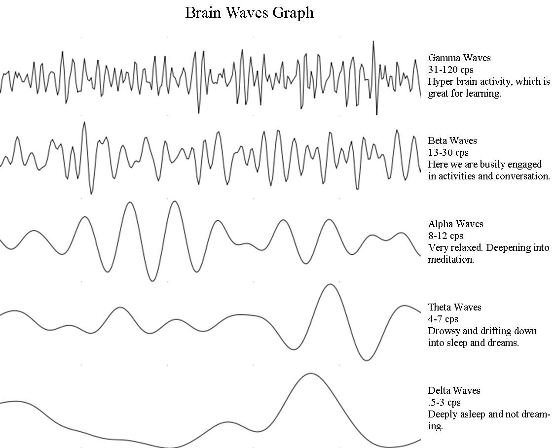 Ритмы мозга и их особенности | клиника Алтимед