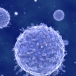 Ученые помогли иммунной системе найти раковые клетки