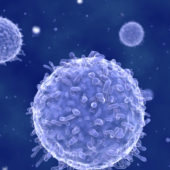 Иммунные клетки