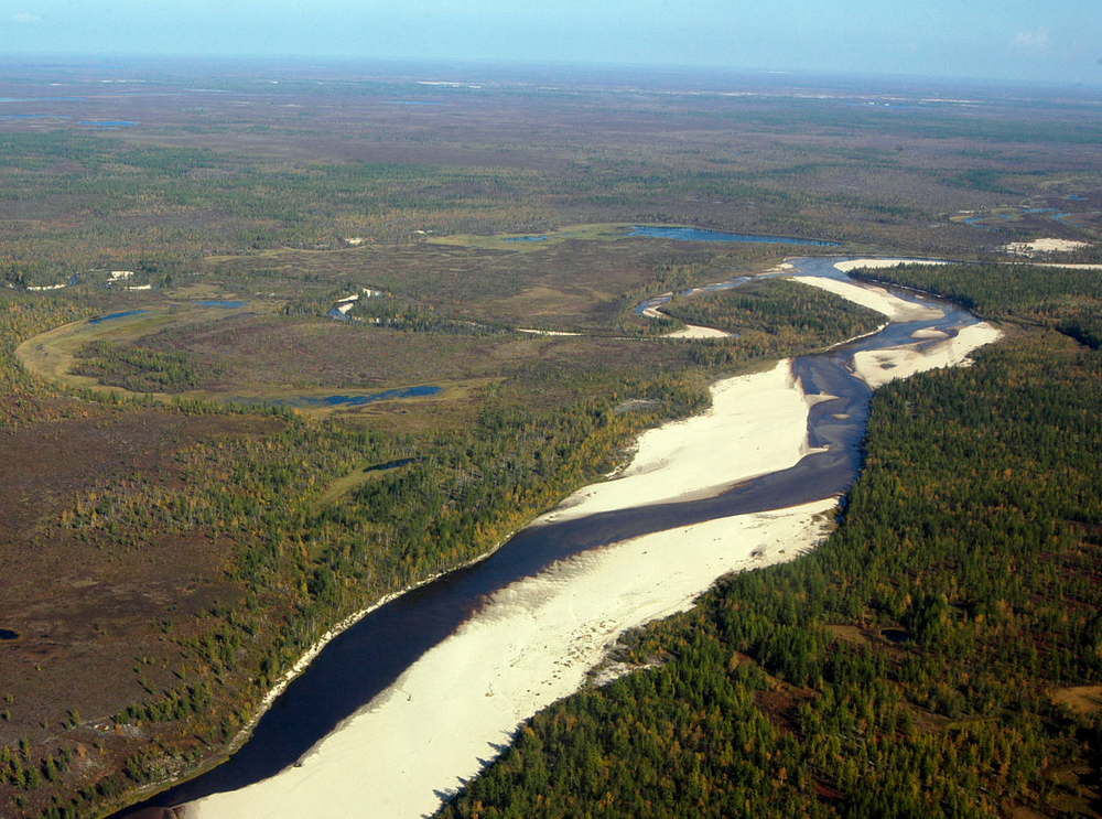 Река Пур в Ямало-Ненецком автономном округе