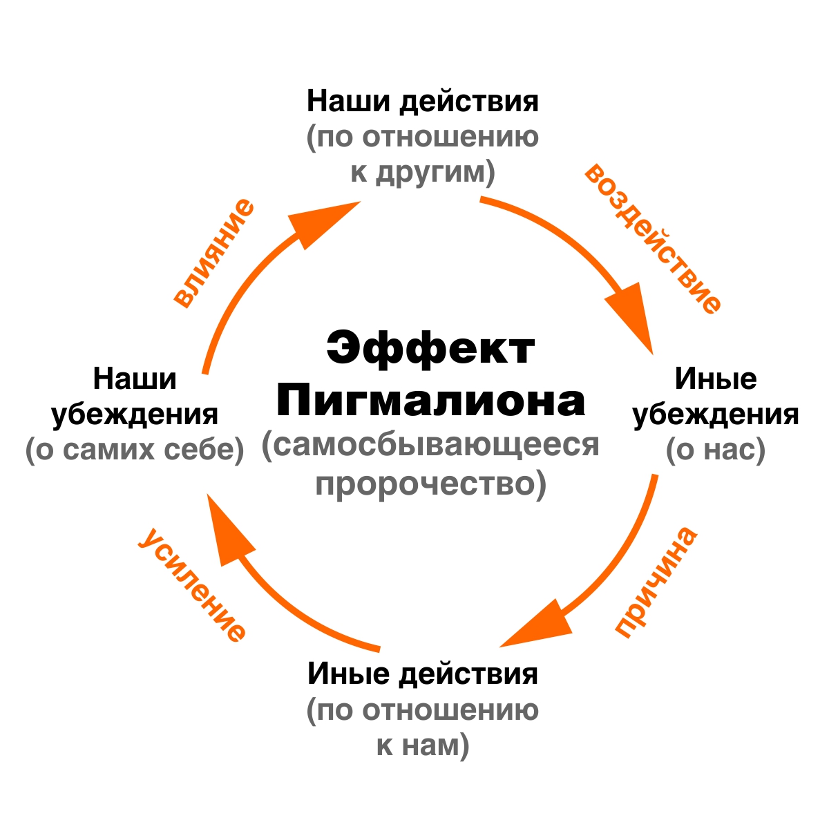 Стимул-реакция: самые громкие психологические эксперименты