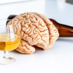 Уменьшение размера мозга связали с пристрастием к алкоголю