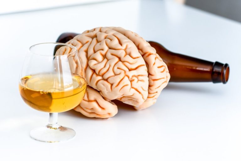 Размер мозга связали с алкогольной зависимостью