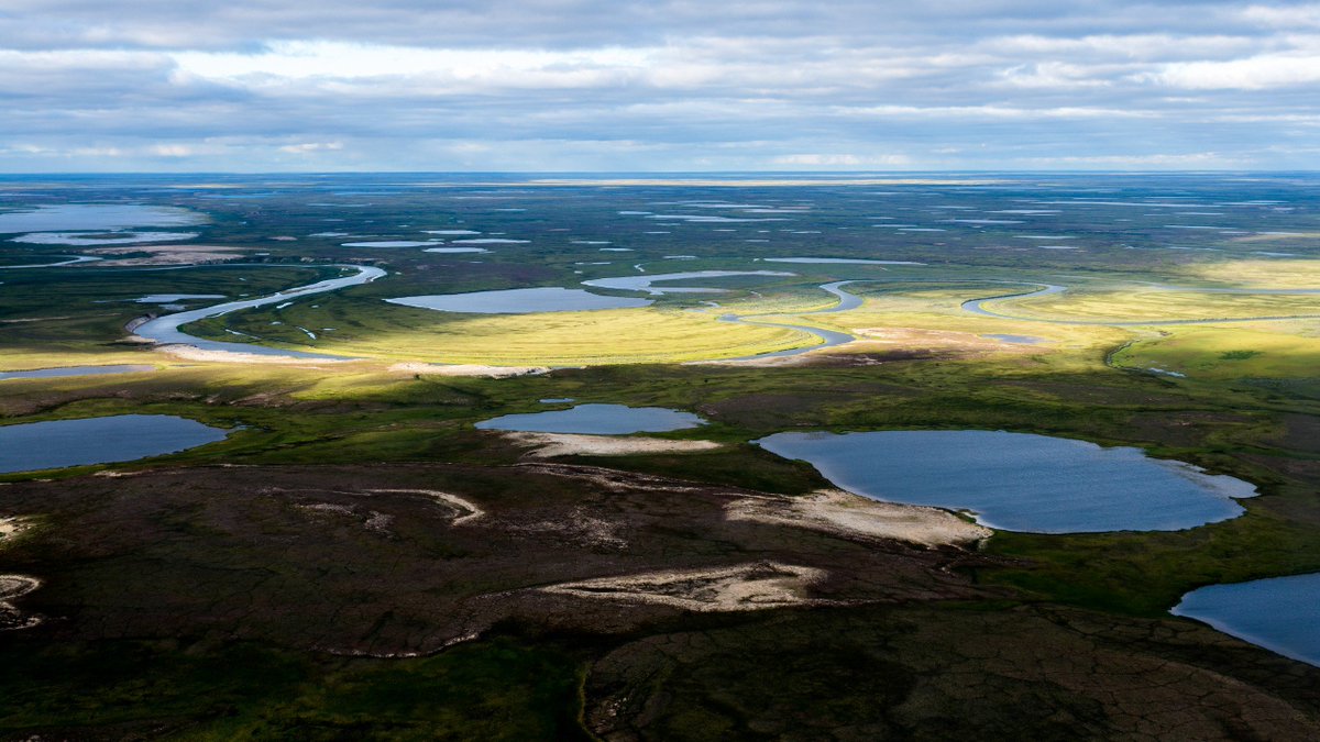 Ученые узнали, какие озера Ямала самые чистые