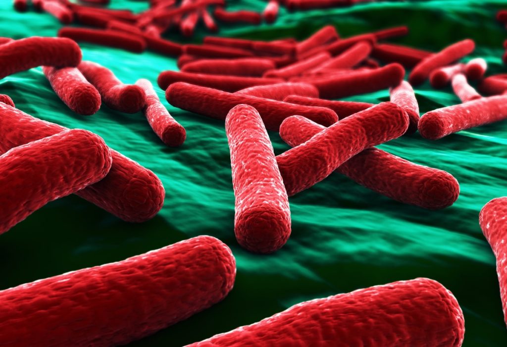 coli0