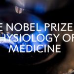 Стали известны имена лауреатов Нобелевской премии в области медицины и физиологии — 2019