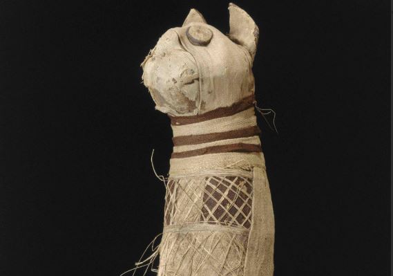 Ученые выяснили, когда в Древнем Египте появились первые мумии