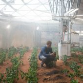 Кадр из фильма «Марсианин», в котором главный герой вынужден был самостоятельно выращивать еду на негостеприимной планете.
