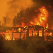 Масштабные пожары в Калифорнии