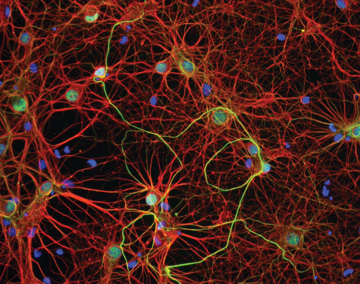 Новое поколение нейронных сетей научили предсказывать свойства органических соединений