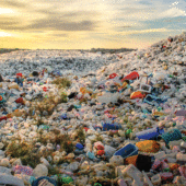87% всех пластиковых пакетов не перерабатываются повторно: в лучшем случае они оказываются на свалках / ©retailbiz.com.au