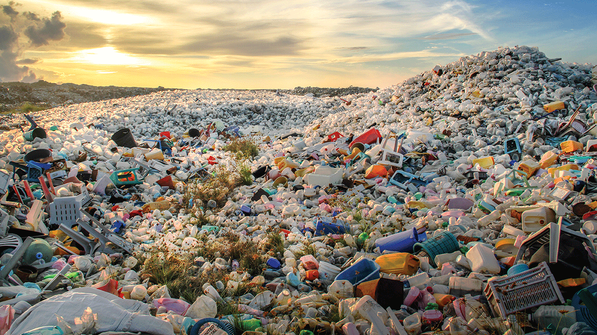 87% всех пластиковых пакетов не перерабатываются повторно: в лучшем случае они оказываются на свалках / ©retailbiz.com.au