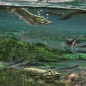 Реконструкция внешнего вида «сосногорской лагуны». Здесь плавали похожие на крокодилов пармастеги.