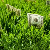 Эксперты заметили связь «зеленых» кредитов с банковскими рисками