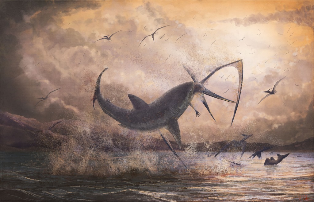 Новый вид акулы возрастом 91 миллион лет