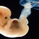 Младенцы в утробе могут видеть больше, чем считалось