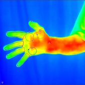 Снимок руки, сделанный при помощи тепловизора
