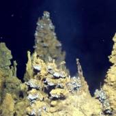 Гидротермальные источники — одни из главных кандидатов на звание «колыбели жизни»