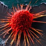 Учёные выяснили «детали» взаимодействия препаратов и раковых клеток