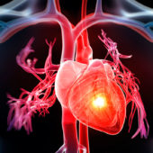 В МФТИ смогут моделировать аритмию на «виртуальном сердце»