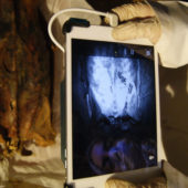 Ученые проводят сканирование мумии / © Анна Остин, Университет Миссури