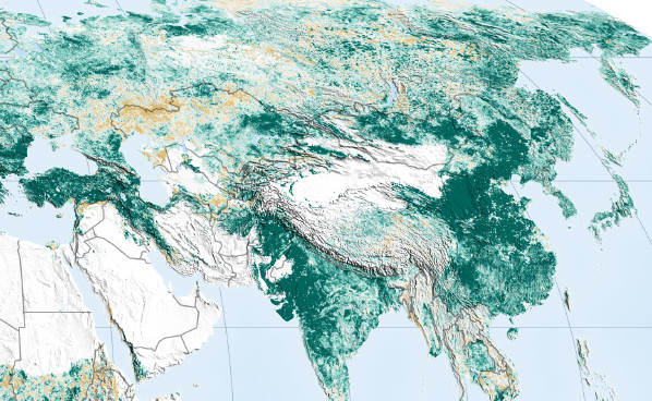 Спутниковые измерения изменений в площади листьев в 2000-2017 годах. Зеленым отмечен рост, желтым — уменьшение площади листьев. Белый указывает на районы без растительности и без заметных изменений в площади листьев / ©NASA