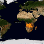 Динамическую карту всех лесных пожаров Земли за 2019 год показали в одном видео