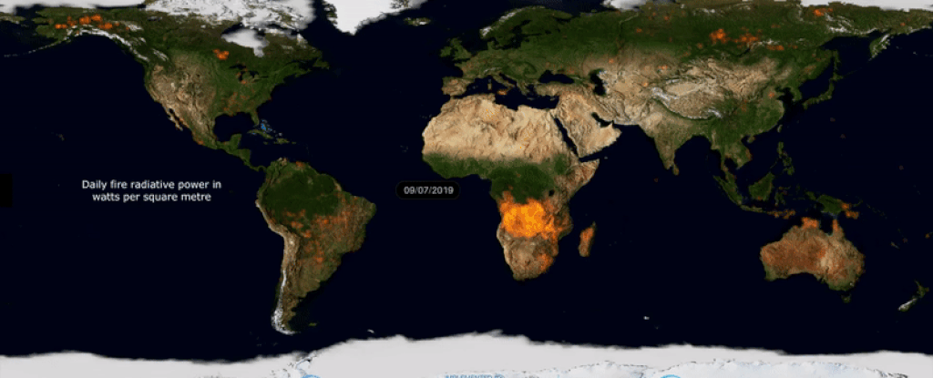 Динамическую карту всех лесных пожаров Земли за 2019 год показали в одномвидео