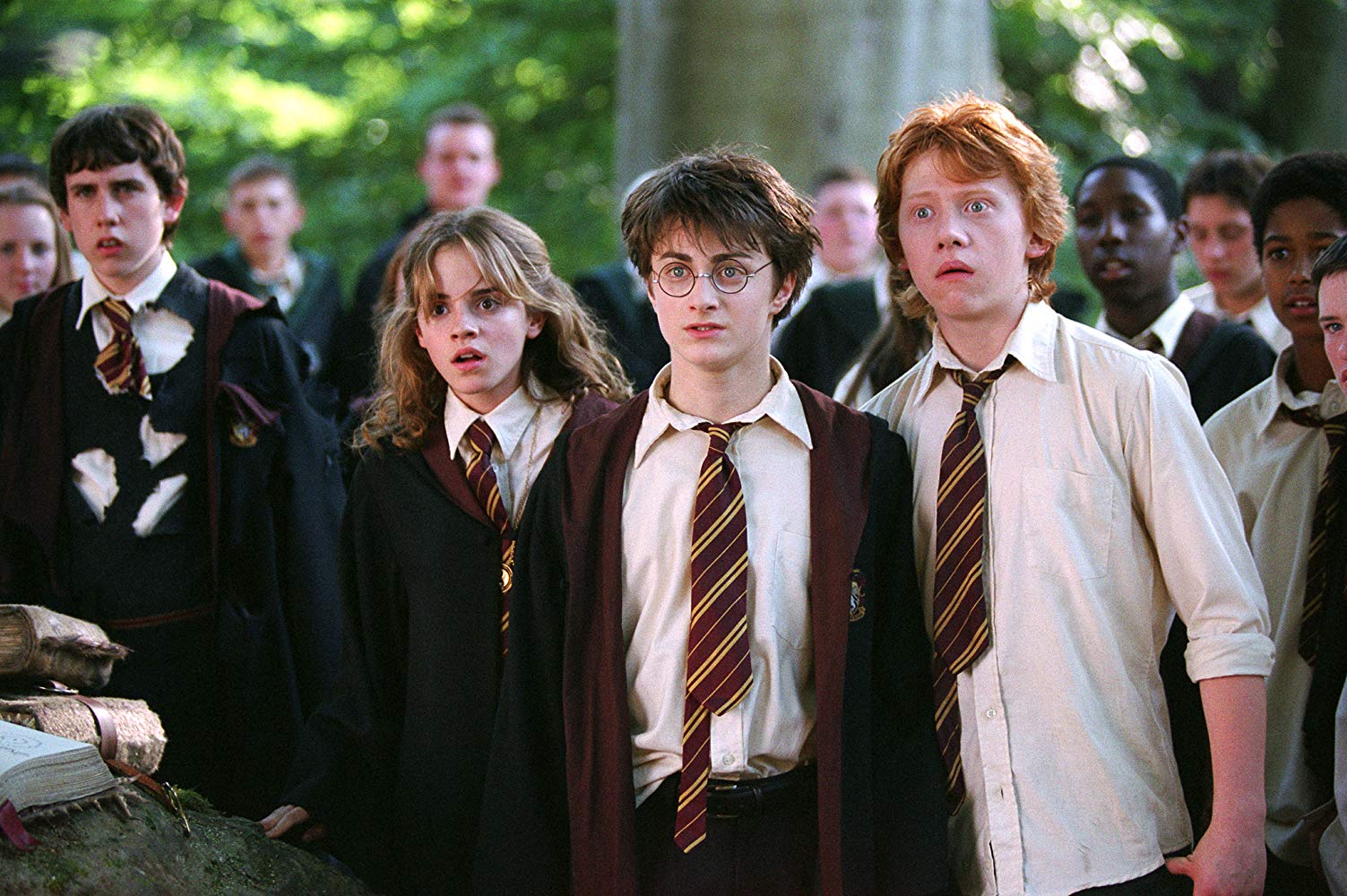 Лингвисты узнали, что означают имена героев в романах о Гарри Поттере