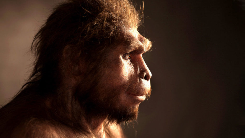 Ученые датировали останки последних Homo erectus на Яве – иллюстрация к материалу на Naked Science