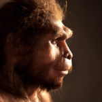 Ученые датировали останки последних Homo erectus на Яве