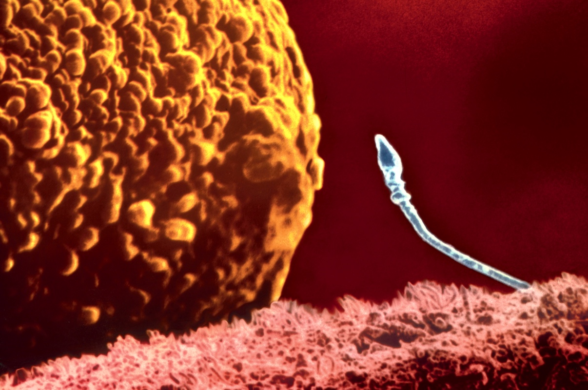 Глотать ли сперму: рассеиваем миф о полезности мужского семени
