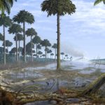 Обнаружены останки древнейших лесов на планете