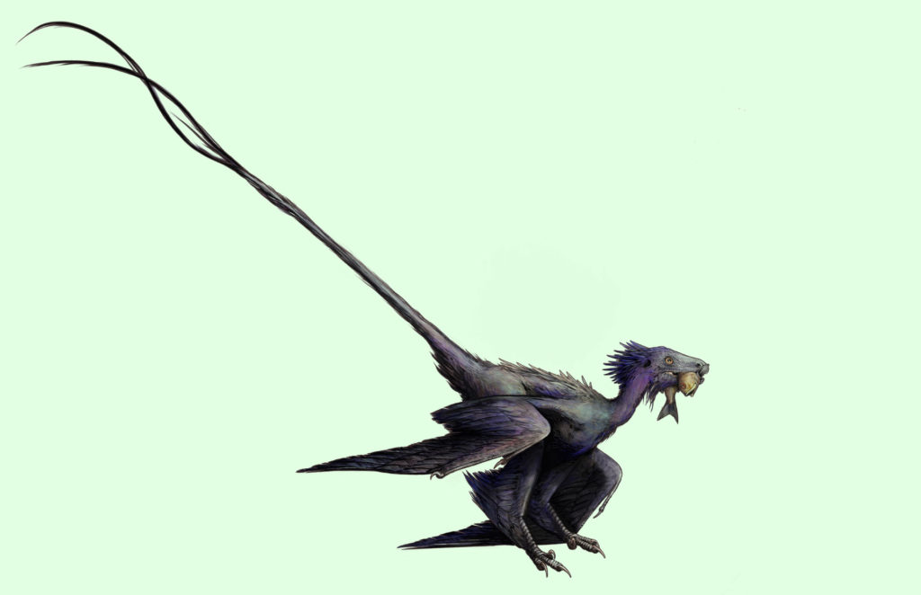 Реконструкция Wulong bohaiensis