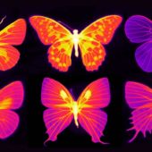 Фотографии бабочек в инфракрасном диапазоне