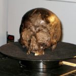 Ученые объяснили, как мог сохраниться один из старейших мозгов в мире