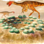 Нейтронная томография показала развитие динозавров внутри окаменевших яиц