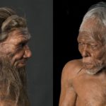 В геноме африканцев нашли следы неандертальской ДНК