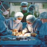 Бракуемые донорские почки оказались подходящими для трансплантации