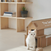 Домик для кота из коробки от телевизора Samsung