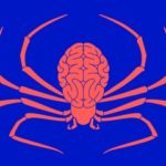 Яд паука остановит гибель нервных клеток