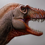 «Жнец смерти»: открыт новый вид тираннозавров