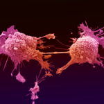 Антитела из полимеров позволят эффективно метить и уничтожать раковые клетки