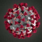 Вирусы — пугающие, но интересные