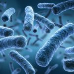 Биологи научились определять возраст человека по его микробиому