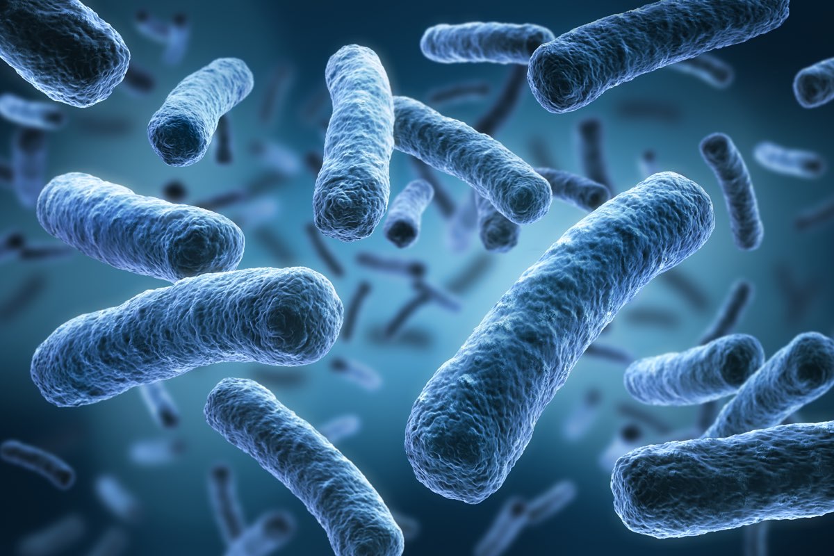 Микробиом человека — совокупность всех микробов населяющих организм, включая такие его участки как кожа, молочные железы, половые органы, легкие, слизистые оболочки © / Getty Images