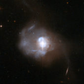 Галактика Маркарян 231 на снимке космического телескопа Hubble / NASA, ESA, Hubble Heritage Team