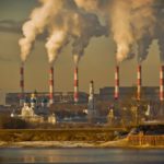 Ученые МФТИ проверили загрязненность московского воздуха с помощью лишайников