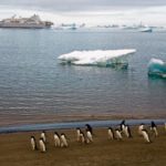 Температура в Антарктике впервые в истории превысила 20 градусов